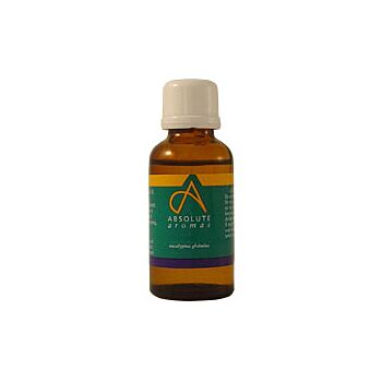 Absolute Aromas - Eucalyptus Globulus Oil (30ml)