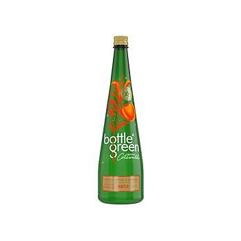 Bottle Green - Spiced Apple and Ginger Presse (750ml)