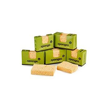 Ecoliving - Compostable UK Sponge 2 pack (1unit)