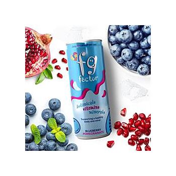 FG Factor - Blueberry & Pomegranate Drink (250ml)