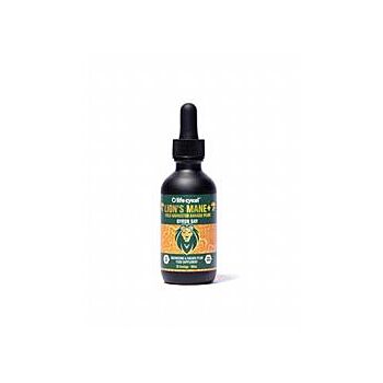 Lifecykel - Lions Mane Liquid Extract 60ml (60ml)