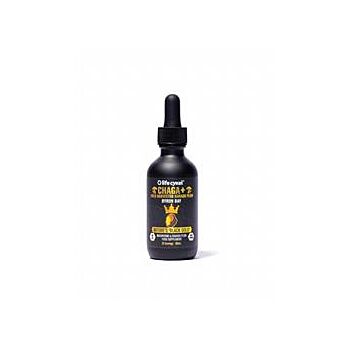 Lifecykel - Chaga Liquid Extract 60ml (60ml)