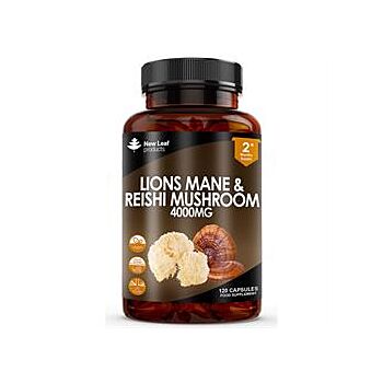 New Leaf Products - Lions Mane & Reishi Capsules (120 capsule)