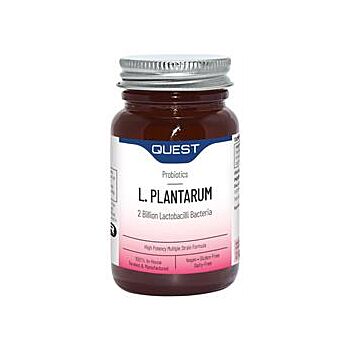 Quest - L PLANTARUM (90 capsule)