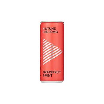 Intune - Free Grapefruit&Mint CBD Drink (250ml)