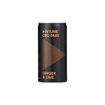 Intune - Free Ginger & Lime CBD Mixer (200ml)