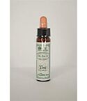 Pine Bach Flower Remedy (10ml)