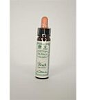 Beech Bach Flower Remedy (10ml)