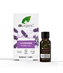 Lavender Pure Oil (10ml)