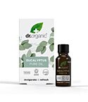 Eucalyptus Pure Oil (10ml)