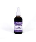 Elderberry Plus (50ml)