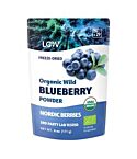 FREE Blueberry Powder 171g (171g)