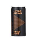 Free Ginger & Lime CBD Mixer (200ml)