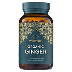 Ginger (120 capsule)