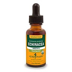 Echinacea Alcohol-Free (30ml)