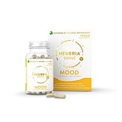 Shine Mood (60 capsule)
