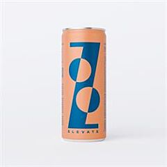 Elevate Sparkling Drink (250ml)
