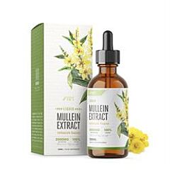 Mullein Extract Tincture (60ml)