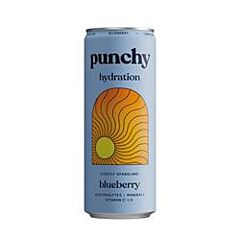 Blueberry Hydration (330ml)