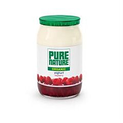 Raspberry Yoghurt (150g)
