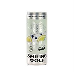 Gin & Tonic Alcohol Free (250ml)