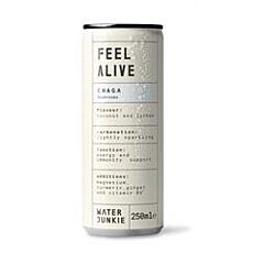 Chaga Mushroom Drink (250ml)
